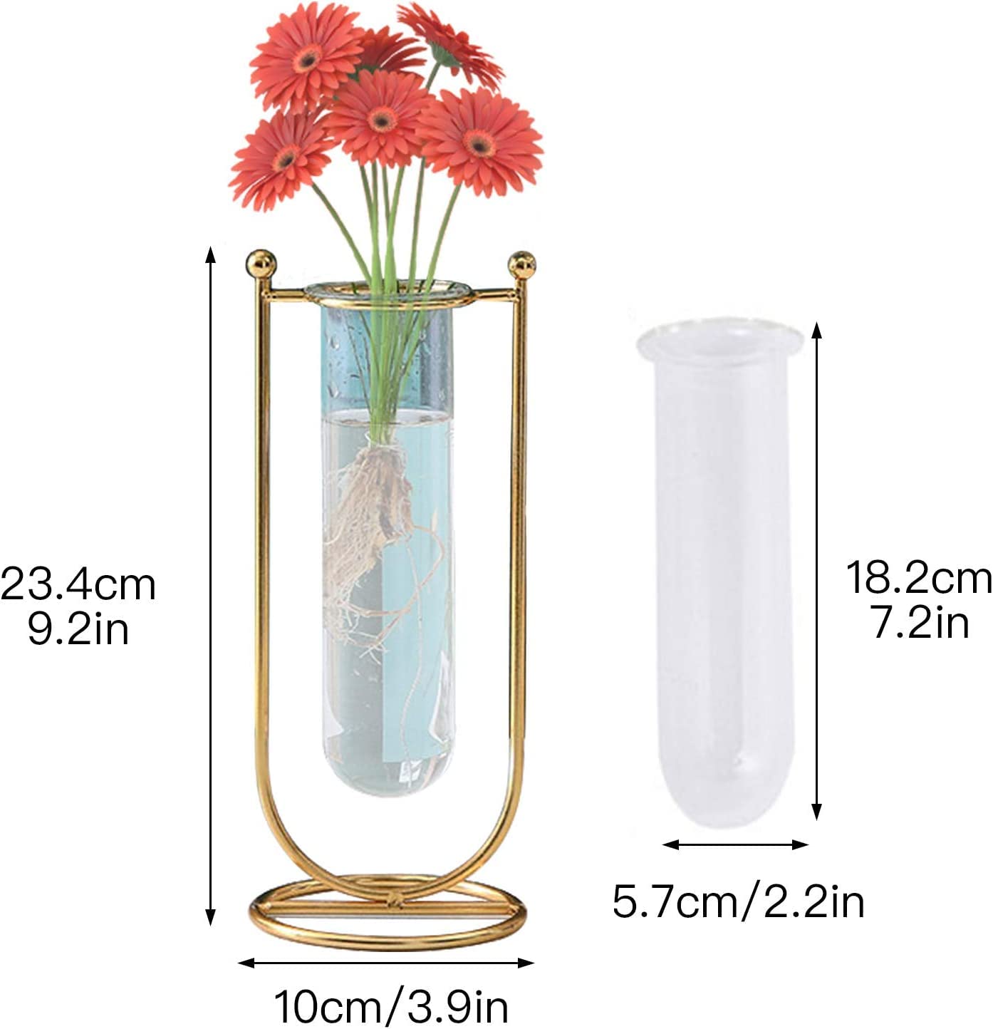 Desktop Glass Planter Hydroponics Vase Glass Propagation Station with Modern Creative Geometric Metal Frame Test Tube Vase for Home Office Decor Table Top (Set of 2)
