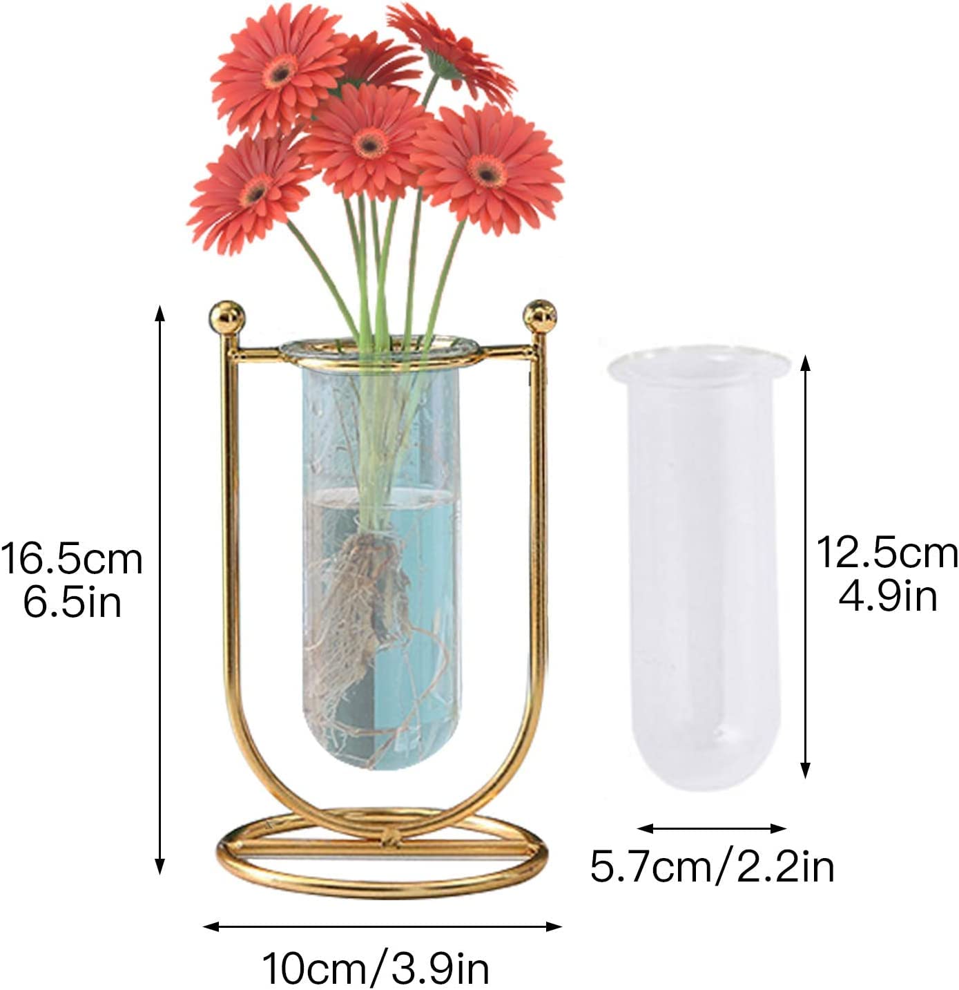 Desktop Glass Planter Hydroponics Vase Glass Propagation Station with Modern Creative Geometric Metal Frame Test Tube Vase for Home Office Decor Table Top (Set of 2)