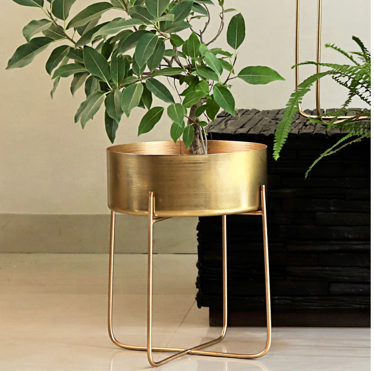 Gold Broad Pots on Stands