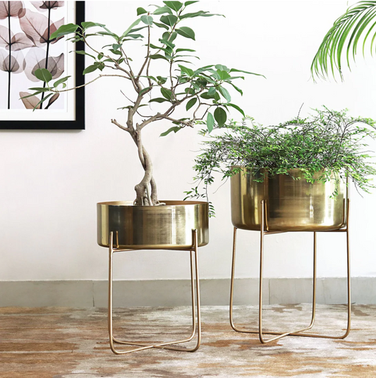 Gold Broad Pots on Stands