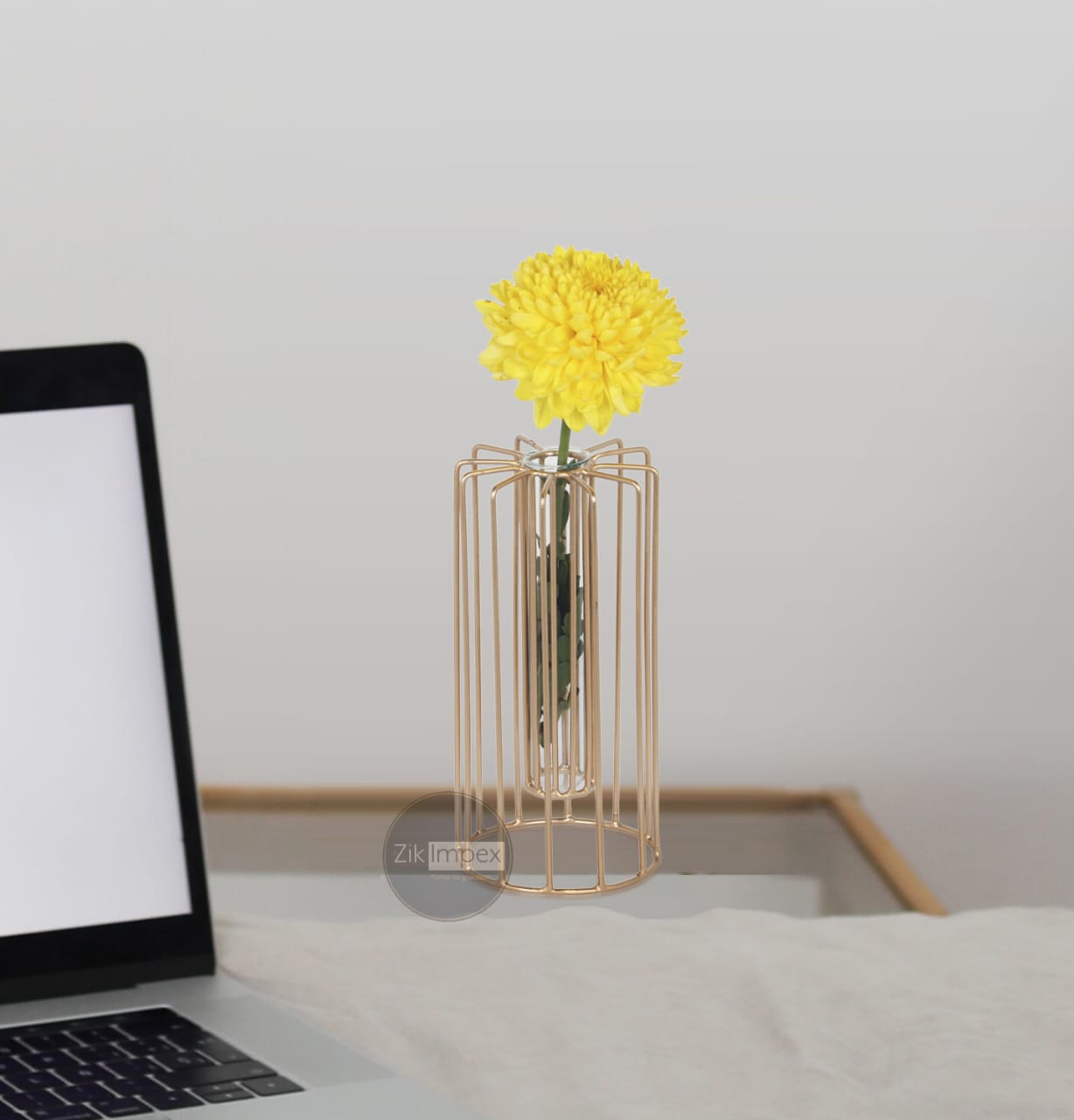 Gold Metal Glass Test Tube Flower Vase for Desktop Home Décor Showpiece Flowerpot Stand Iron Art Flower Living Room Modern vase hydroponic (Without Flower)